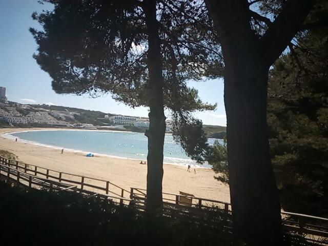 Castellsol Arenal Home Beach Punta Grossa Quarto foto